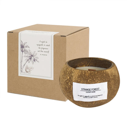 Coconut Shell Aromatherapy Candle Essential Oil Fragrance