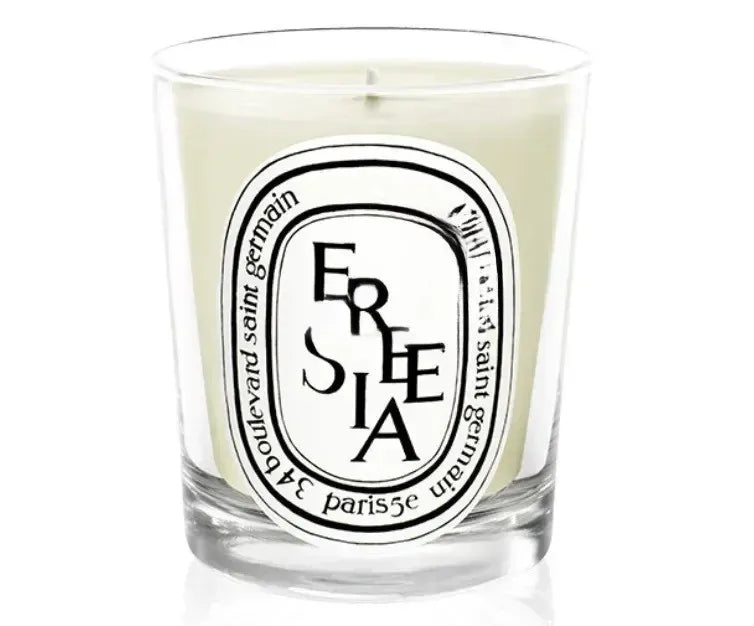 Romantic Scented Candles, France Fragrance, Mood Diffuser, Fresh Light, Home Fragrance, Lasting Air Companion, Aroma Gift