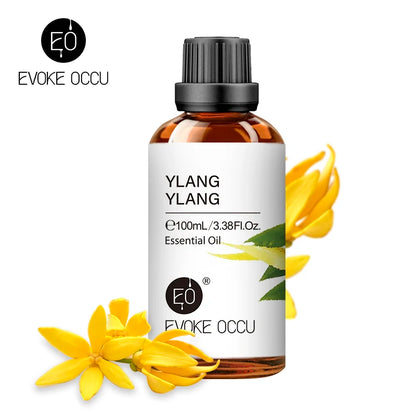 Essential Oils for Diffuser – EVOKE 100ml Multi-Flavor Set