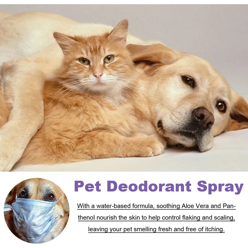 Lavender Oil Dog Deodorizer Spray Long Lasting Puppies Cats Dogs fo...