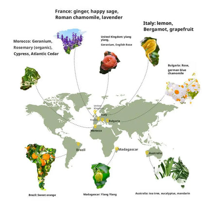 Air Freshener Aromatherapy Diffuser Perfume Refill Liquid Deodoriza... - 100ml