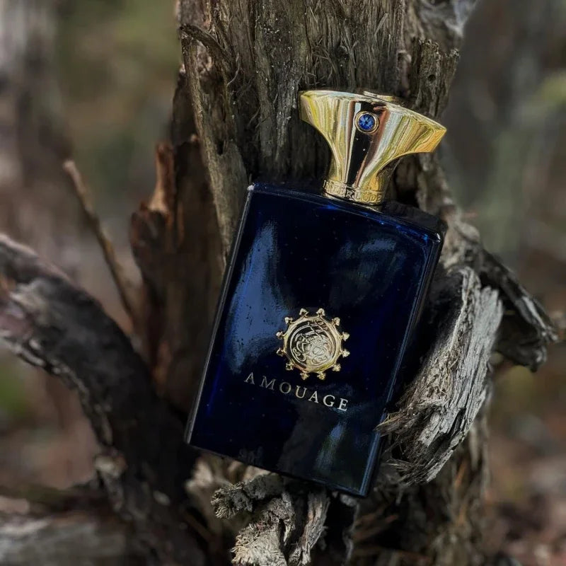 Luxury 100ml Arabian Niche Perfume for Men & Women – Long-Lasting Oriental Oud Spicy & Woody Fragrance with Rich Vanilla Notes