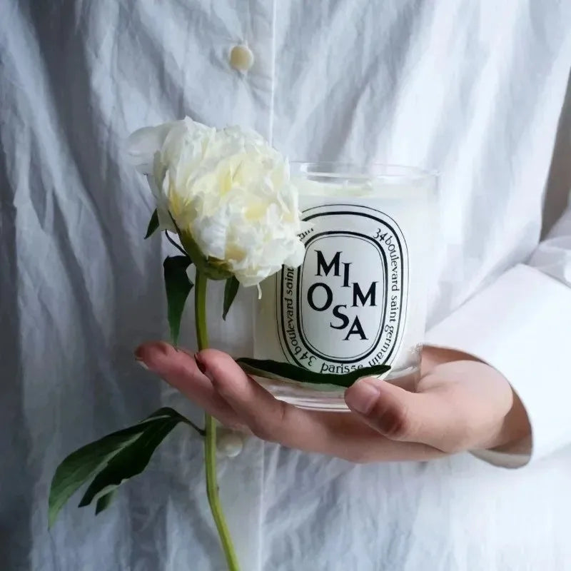 Romantic Scented Candles, France Fragrance, Mood Diffuser, Fresh Light, Home Fragrance, Lasting Air Companion, Aroma Gift