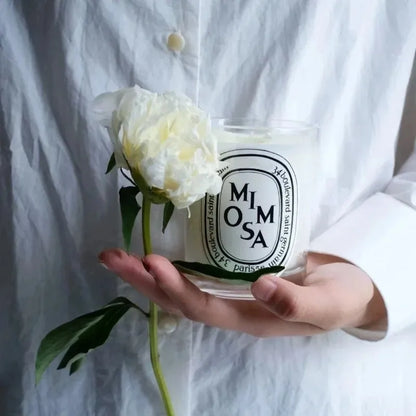 Romantic Scented Candles, France Fragrance, Mood Diffuser, Fresh Light, Home Fragrance, Lasting Air Companion, Aroma Gift