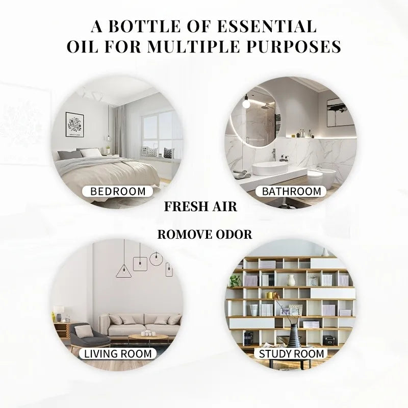 Essential Oils for Diffuser – EVOKE 100ml Multi-Flavor Set