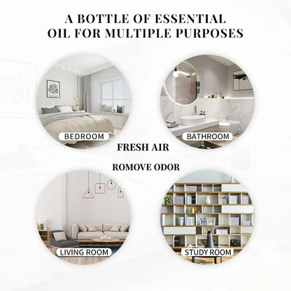 Essential Oils for Diffuser – EVOKE 100ml Multi-Flavor Set