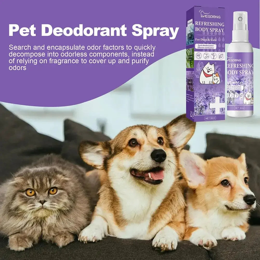 Lavender Oil Dog Deodorizer Spray Long Lasting Puppies Cats Dogs fo...