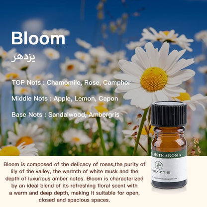 Aromatic Oils for Diffuser – 10 Flavors Natural 10ml Oils