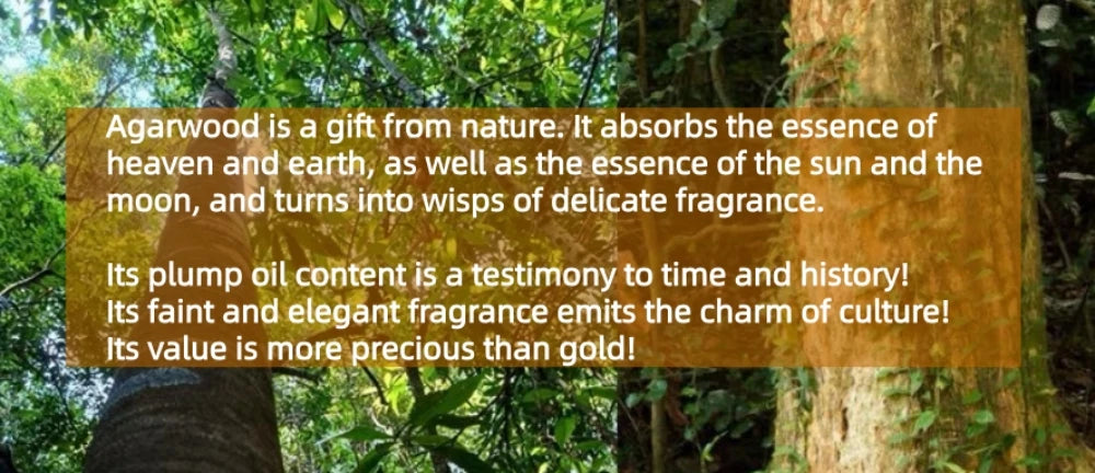 Kyara Agarwood Essential Oil-Pure,Undiluted,Natural,Indoor Incense & Aroma
