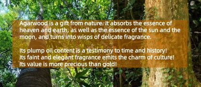 Kyara Agarwood Essential Oil-Pure,Undiluted,Natural,Indoor Incense & Aroma