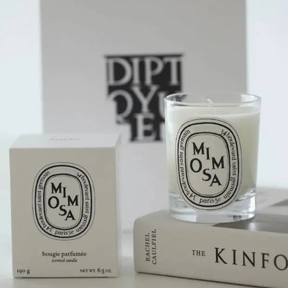 Romantic Scented Candles, France Fragrance, Mood Diffuser, Fresh Light, Home Fragrance, Lasting Air Companion, Aroma Gift