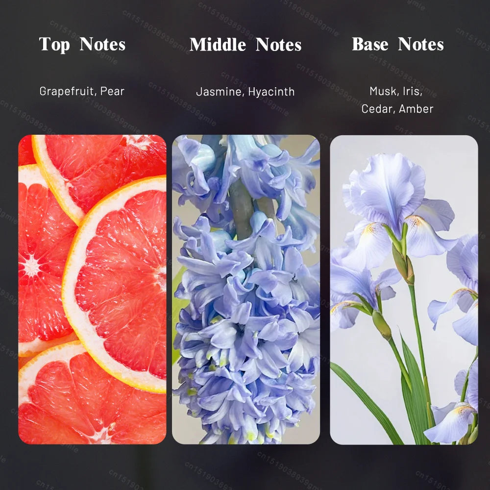 Original Perfume Spray Long-Lasting Fragrance Floral Flavor Fresh Charm Cologne Attracts Love Pheromone Perfume Eau De Toilette