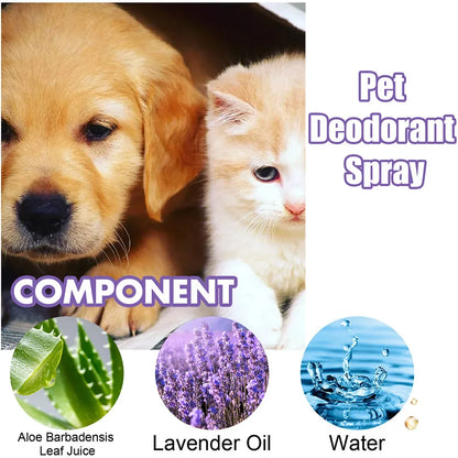 Lavender Oil Dog Deodorizer Spray Long Lasting Puppies Cats Dogs fo...