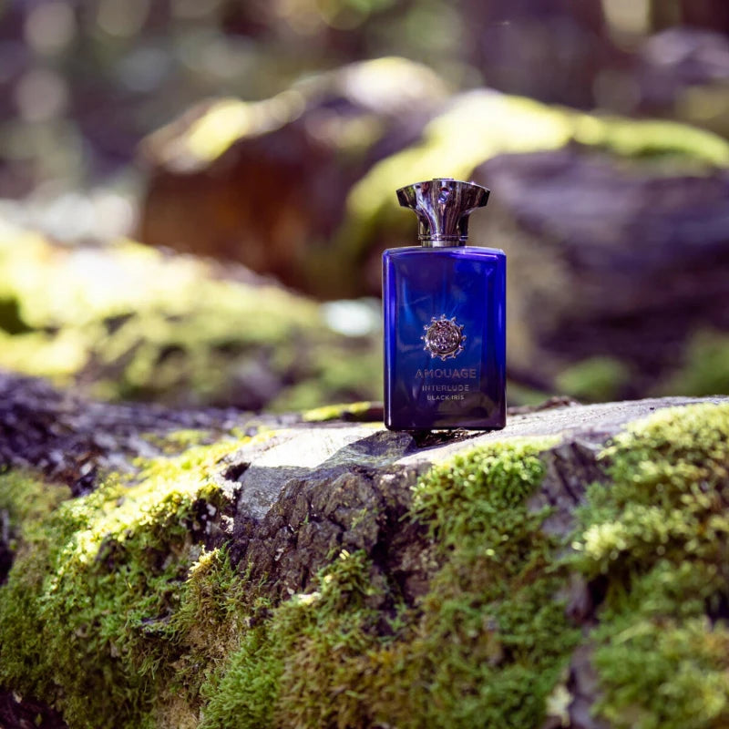 Luxury 100ml Arabian Niche Perfume for Men & Women – Long-Lasting Oriental Oud Spicy & Woody Fragrance with Rich Vanilla Notes