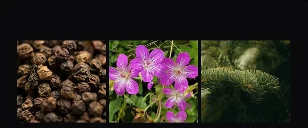 Luxury Brand Perfume Men Cologne Natural Floral Fruity Scent Spray