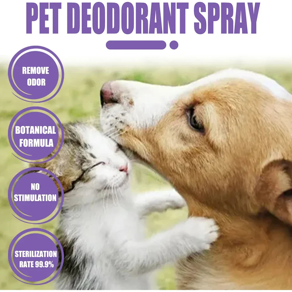 Lavender Oil Dog Deodorizer Spray Long Lasting Puppies Cats Dogs fo...