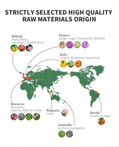 10 Flavors Aromatic Oils for Aroma Diffuser Air Humidifier Home Oil... - 10ml