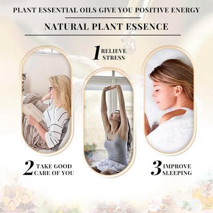 Essential Oils for Diffuser – EVOKE 100ml Multi-Flavor Set