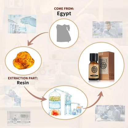 Amber Essential Oil for Candles, Soaps & Aromatherapy