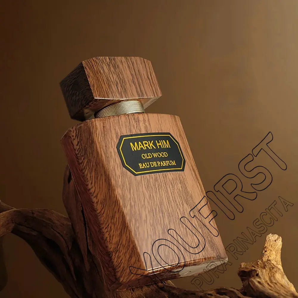 Top Quality Cologne Perfume Men 100ml Pheromone Perfumes Hombre Fresh Natural Woody Scent Spray for  Charming Man