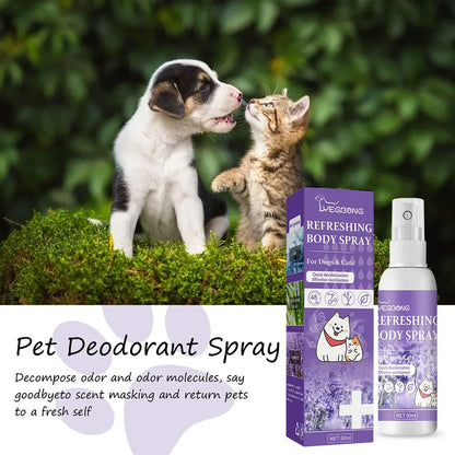 Lavender Oil Dog Deodorizer Spray Long Lasting Puppies Cats Dogs fo...