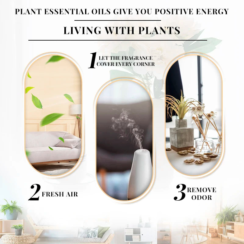 Essential Oils for Diffuser – EVOKE 100ml Multi-Flavor Set