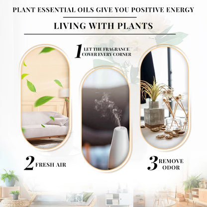 Essential Oils for Diffuser – EVOKE 100ml Multi-Flavor Set