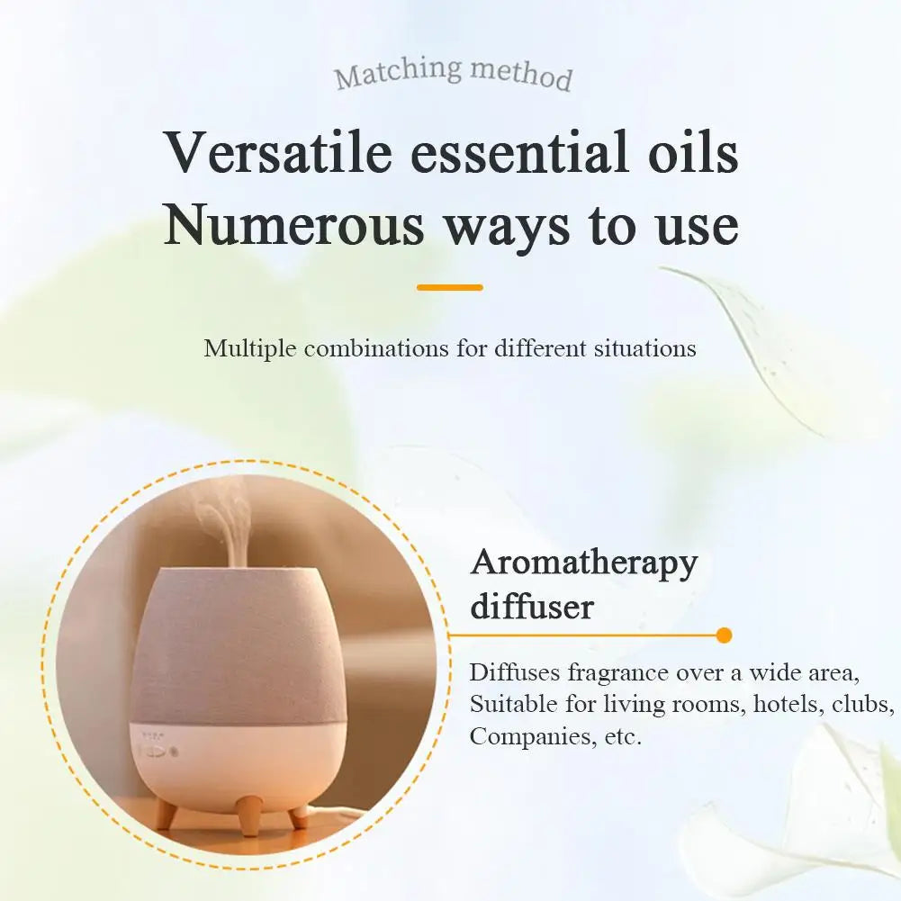 Air Freshener Aromatherapy Diffuser Perfume Refill Liquid Deodoriza... - 100ml