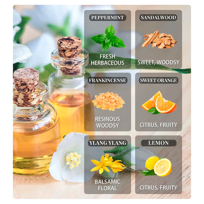 Essential Oils for Diffuser – EVOKE 100ml Multi-Flavor Set