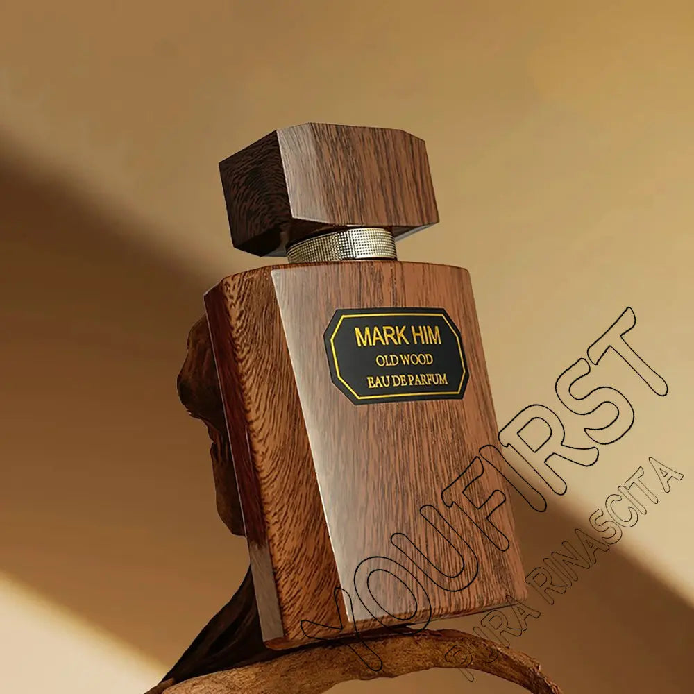 Top Quality Cologne Perfume Men 100ml Pheromone Perfumes Hombre Fresh Natural Woody Scent Spray for  Charming Man